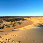 Dunes et campement nomade dans l'Adrar mauritanien