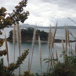 Eine kleine Insel vor Waiheke Island