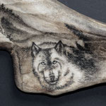 o.T. (Detail Wolf) 2015, Scrimshaw in Geweihschaufel