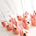 Flamingo Cakepops, Cakepops Den Bosch