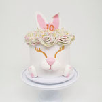 Rabbit Cake, Taart Den Bosch