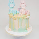Uiltjes reveal Boy or Girl, Genderreveal Cake, GenderReveal Cake Den Bosch