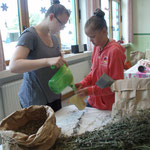 Kräuterworkshop, herstellen von Duftkissen mit Kindern