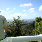 14. Mai 2010, zurück nach Auckland