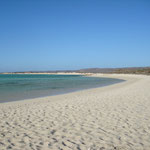 und im Ningaloo Reef NP