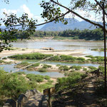 23. Januar, Luang Prabang ohne Regen !