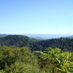 im Great Smoky Mountains NP