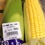 千代田で店員さんお勧めのトウモロコシ