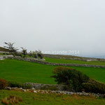 Paysage irlandais