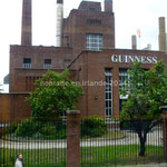 Dublin, Brasserie Guinness