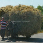 Les moyens de transport sont souvent rustiques