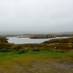 Dans le Connemara