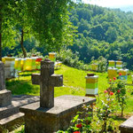 Monastère de Morača