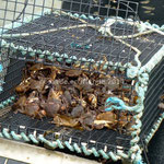Panier de crabes!