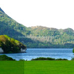 Vue sur le Lough Laene dans le parc de Muckross House