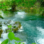 Parc de Krka, la rivière est calme au début