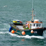 Un pêcheur rentre à Ballyvaughan