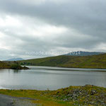 Le Lough Fee