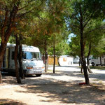 Au camping Marina à Lozovac
