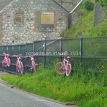 vélos roses...