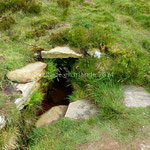 Source de Saint Patrick