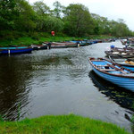 Les barques de pêche attendent leurs propriétaires sur le Lough Leane