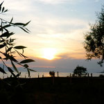 coucher de soleil sur le lac Shkodra