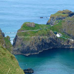 Rope Bridge