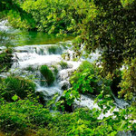 Parc de Krka, les premières chutes