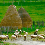 tableau champêtre en campagne bosnienne