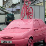 auto rose...
