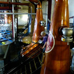 Old Bushmills Distillerie