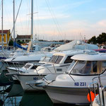 Le port de Novigrad