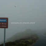 Au sommet de Horn Head, le brouillard nous cache le panorama