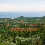 La terre rouge donne au paysage des airs de Roussillon