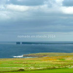 Downpatrick Head