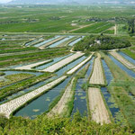 Au niveau du delta de la Neretva