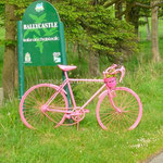 vélo rose...