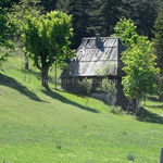Bâtiment rural dans la campagne monténégrine