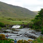 Paysage des Sheeffry Hills