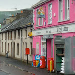 pub rose...