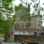 Tintern Abbey