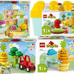 CD42 Fruit en groente