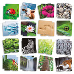 OZ9 Voelmemory Natuur