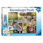 Pb36 Babydieren