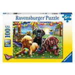 Pb34 Honden