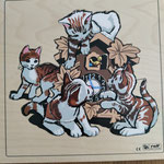 Pa11 Katten