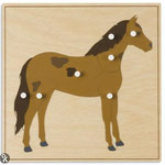 L1 Paard