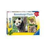Pb17 Dieren 3x49