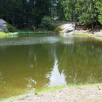 Dachlisee